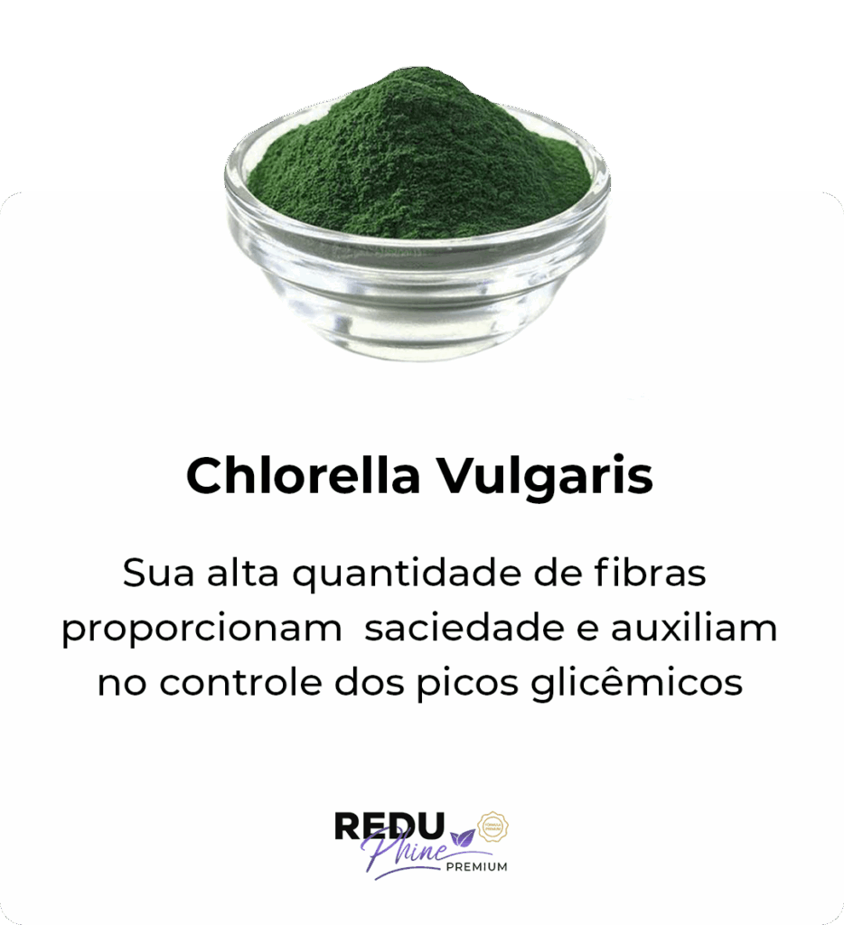 i-Chlorella-Vulgaris.png