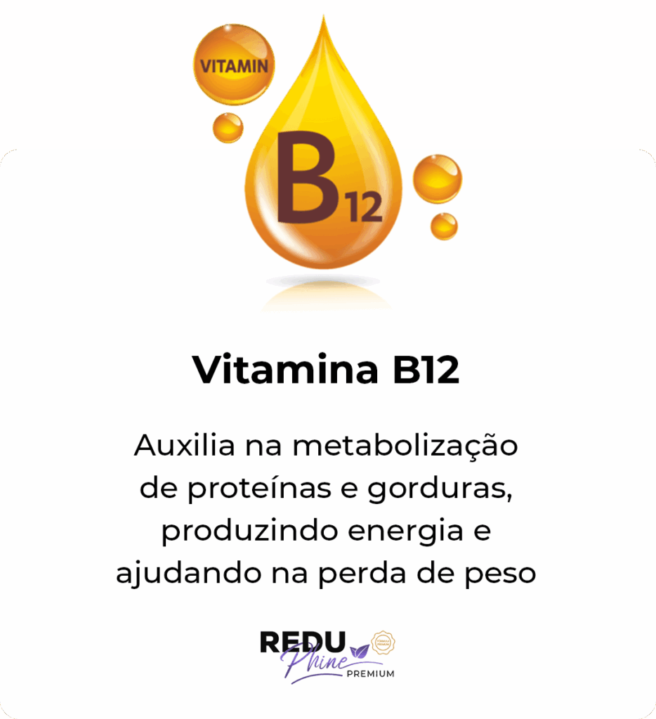 i-Vitamina-b12.png
